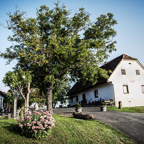 Weingut & Gästezimmer